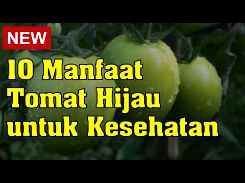 Video: 10 Manfaat Kesehatan Luar Biasa Dari Sup Tomat