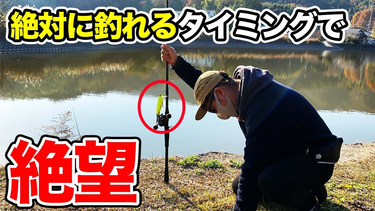 バス釣り 釣れる場所と時合いがわかる動画 フィーディングをものにできない男の末路 スモラバ ネコソギdsr また秋に戻った 冬のバス釣り 初冬 Youtube バス釣り 釣れる場所と時合いがわかる動画 フィーディングをものにできない男の末路 スモラバ ネコソギdsr また秋に戻った 冬のバス釣り 初冬 Youtube