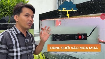 Sử dụng SƯỞI HỒ CÁ vào mùa mưa ai cũng biết nhưng sài thế nào cho đúng cách thì chưa chắc