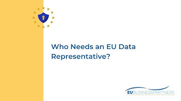 Who Needs an EU Data Representative?