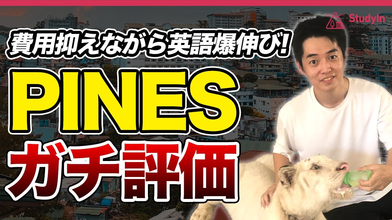 【フィリピン留学】 PINES校のメリット、デメリットを正直に話します。#フィリピン留学 #バギオ #PINES