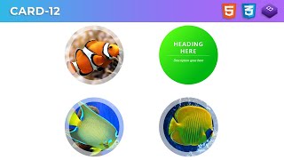 Learn how to create this four responsive circle card hover effects step-by-step | Card-12