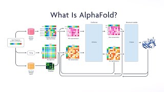 What Is AlphaFold? | NEJM