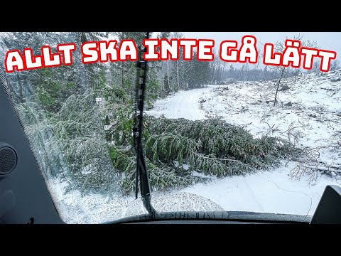 Video: Vad är troligtvis orsaken till bumpstyrning?