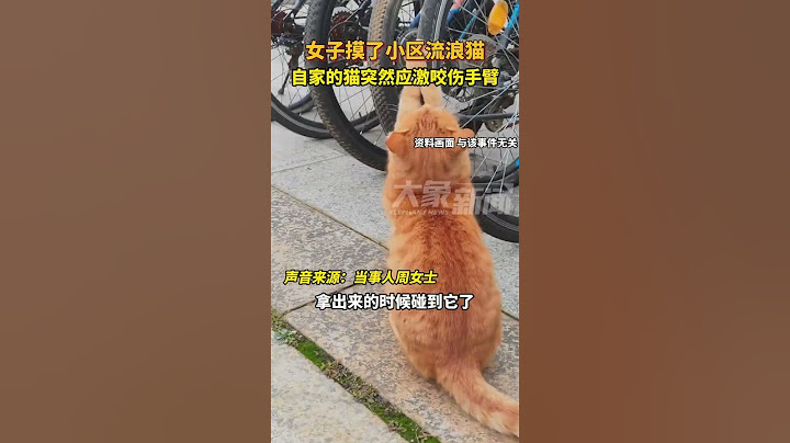 因女子摸了小区流浪猫，自家的猫突然应激，女子被咬伤手臂！