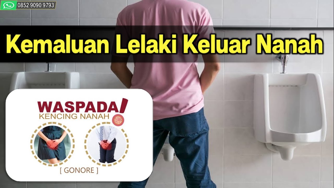 Kemaluan Lelaki  Keluar Nanah YouTube