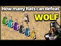 6 rat vs 1 wolf lords battle stronghold crusader