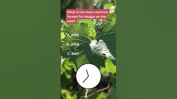 What is the Most Common Format for Images on the Web?#sciencefather #college #jpeg #imageformation