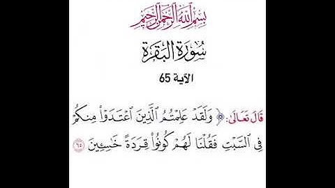 تعليم سورة البقرة اية ٦٥ جمال القرش