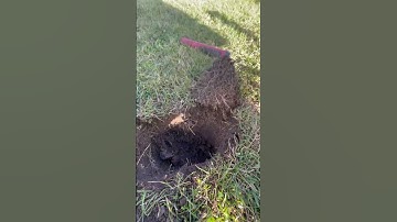 Deep coin with the Manticore! #Shorts