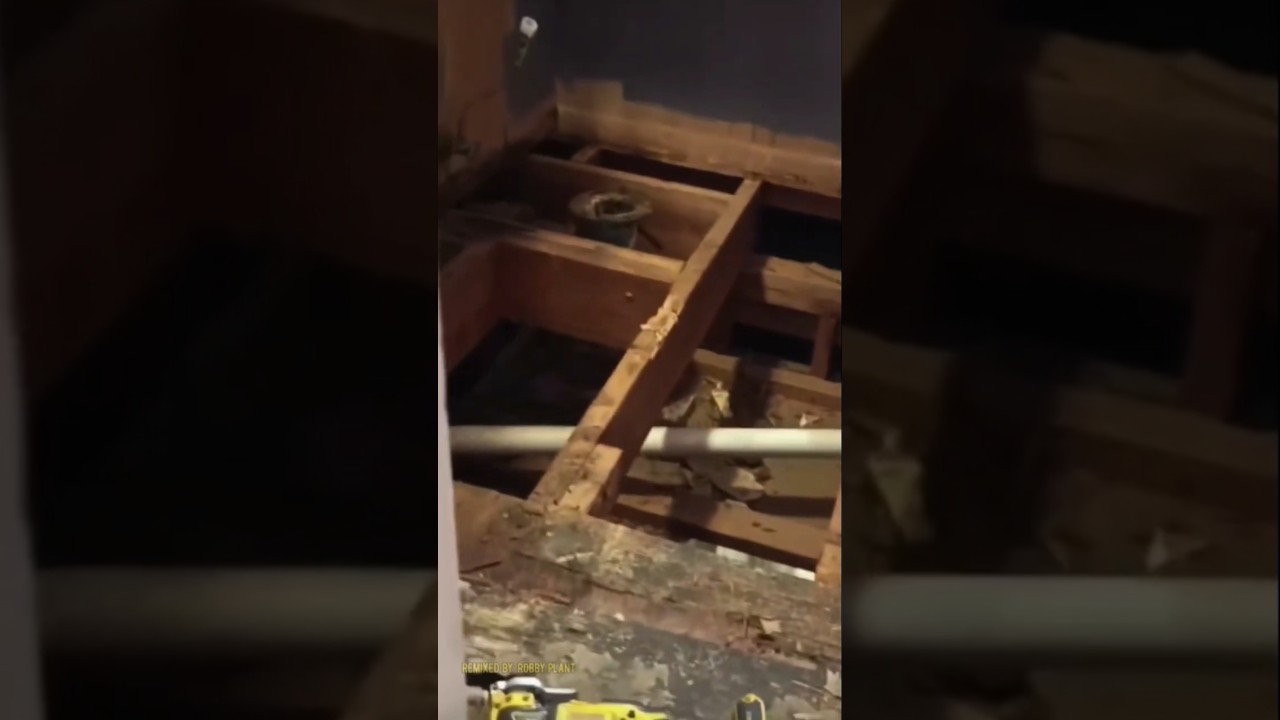 YouTubeでshe blamed her husband for this one #construction #diy #renovations #home #funny #fall #floor #wifeを視聴 YouTubeでshe blamed her husband for this one #construction #diy #renovations #home #funny #fall #floor #wifeを視聴