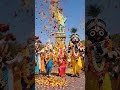 Lord Jagannath Baldev Subhadra #jagannath #jaijagannath