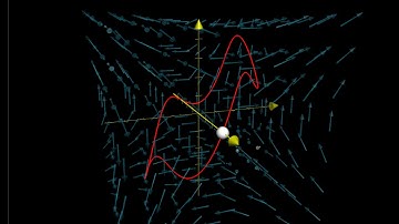 Flying through a vector field