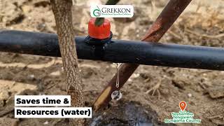 Button drip installation in Kenya by Grekkon Limited