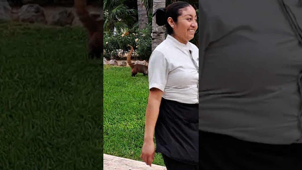 Cuatis!  Hottest New Group!  Crash My Playa 2026!  