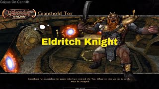 Wizard Eldritch Knight Build Gameplay | Gianthold Tor DDO 2019