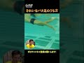 バタ足の超基本 #shorts#starswim#水泳
