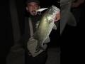 Finesse fishing freshwater bass #fishingvideo #fish #fishing  #largemouthbass