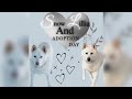 Happy adoption day to Lillia and snow! Mp3 Song