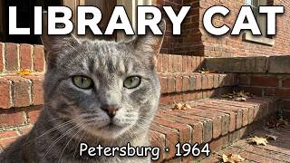 Library Cat: The Forgotten Story of Thomasina, Petersburg 1964