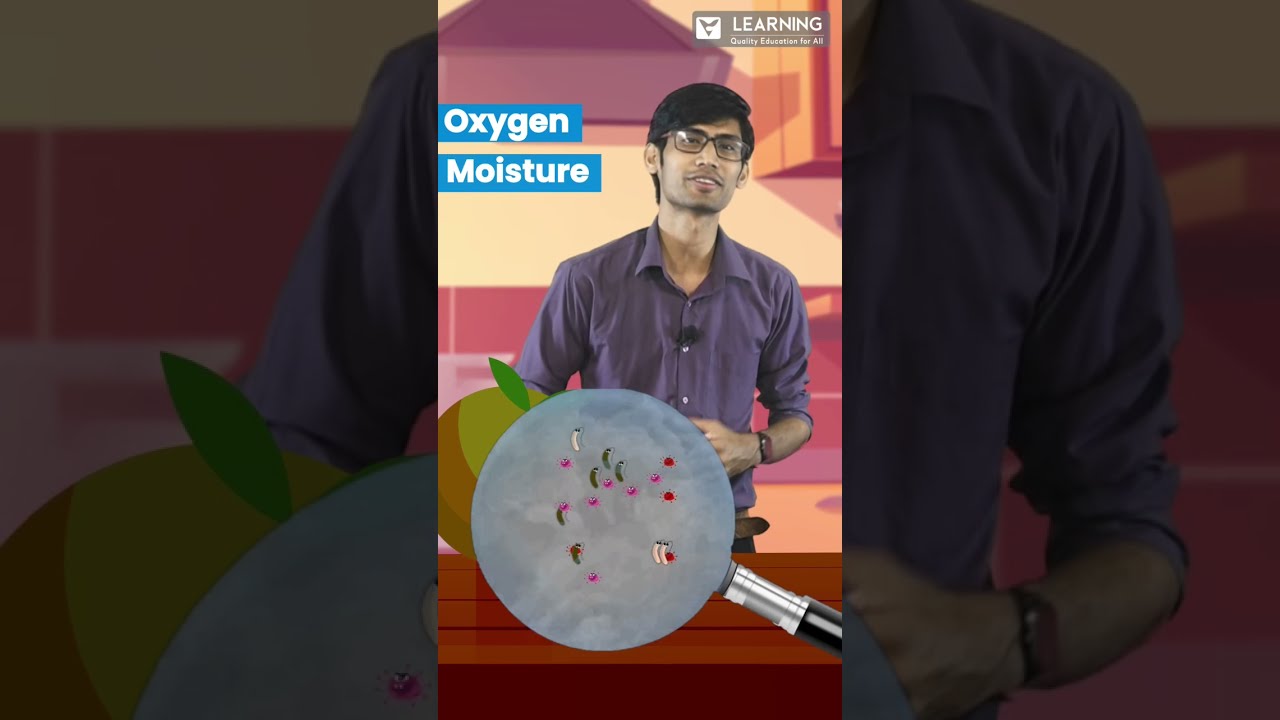 What makes food rot?? 🍱 🥘 By Vistas Learning YouTube