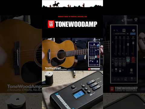 Delay จาก ToneWoodAmp2