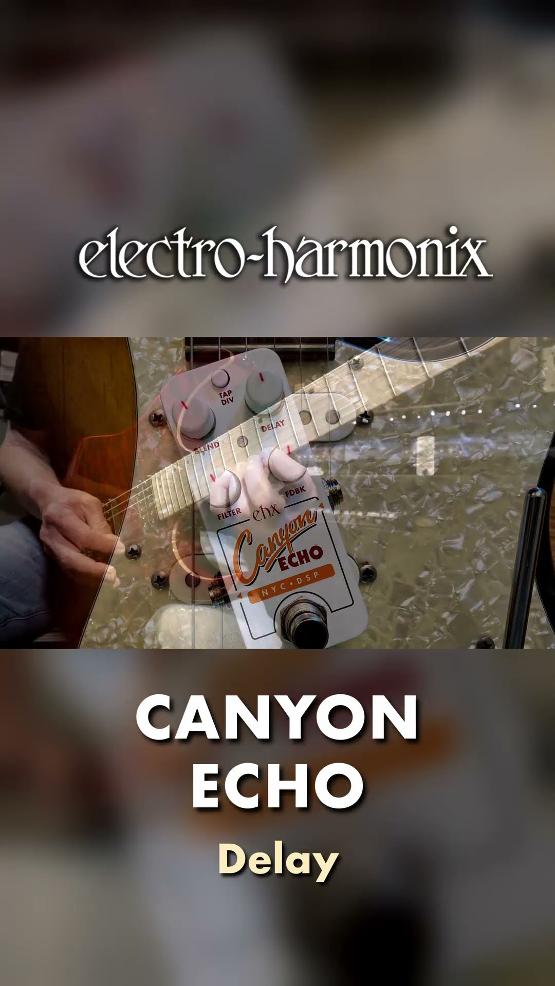 大幅値下げehx Pico Canyon Echo ギターエフェクター Pico Canyon Echo