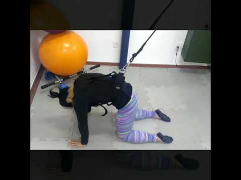Exercícios com o Elastic Training camera iphone 8 plus apk