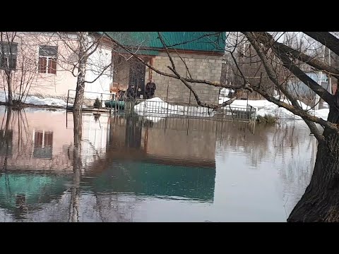 Video: „Jak Krásná!“: Irina Ortmanová V Cyklamenových Plavkách Si Hrála S Vodou V Bazénu V Soči