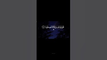 ﴿قَالُوا يَا أَبَانَا مَا لَكَ لَا تَأْمَنَّا عَلَىٰ يُوسُفَ وَإِنَّا لَهُ لَنَاصِحُونَ﴾. سورة يوسف