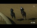 Arklow Breeders' Cup Work 10.19.19