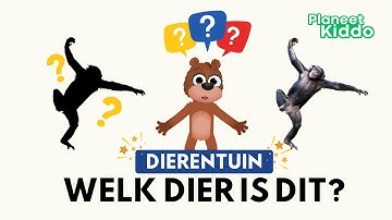 🐒 Raad Het Dier • Herken Dierentuin Dieren In De Nacht • Nederlands Leren Voor Peuters En Kleuters