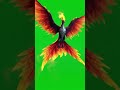 Giant Sea Phoenix Green Screen Effect #greenscreen #pheonix #chromakey #vfx