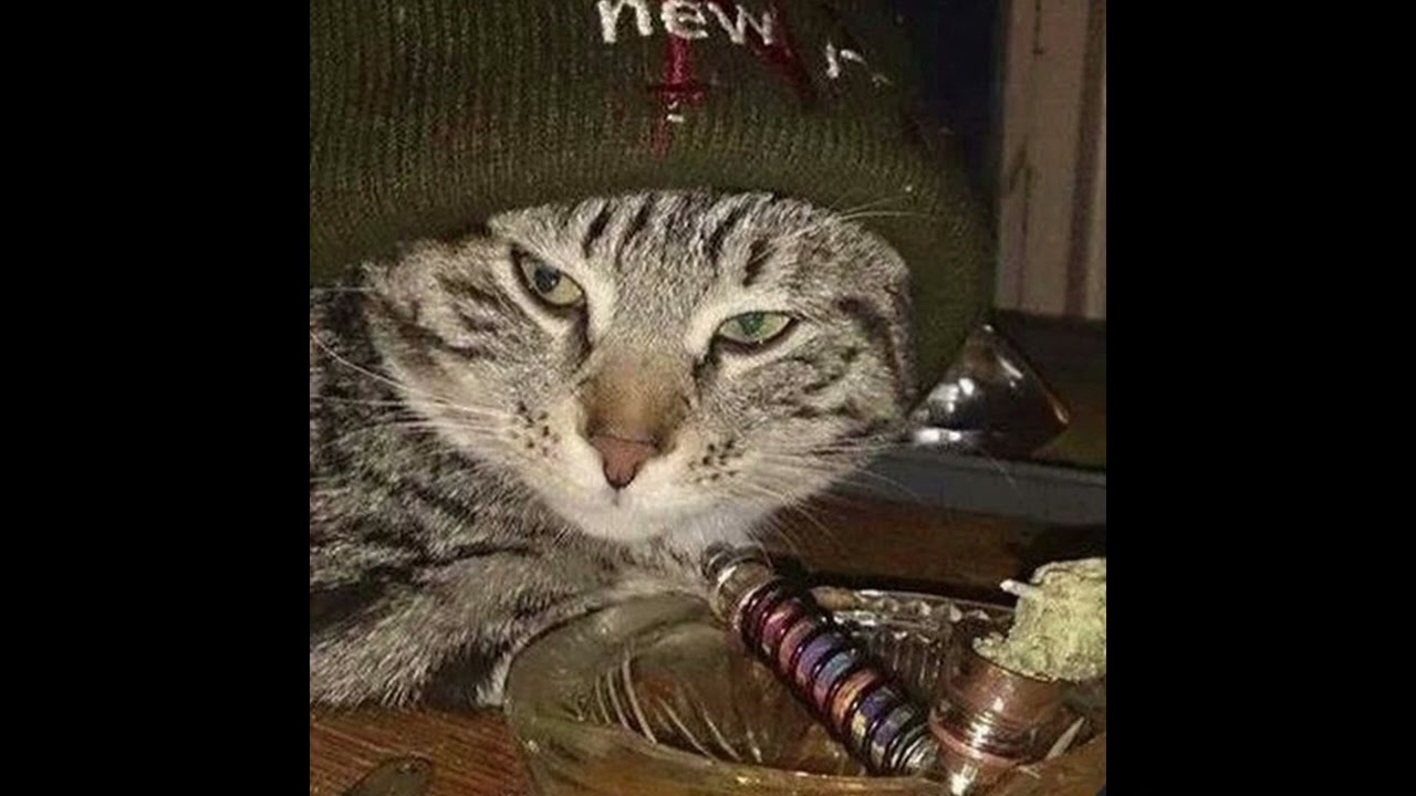 (FREE) Dark Boom Bap Type Beat - 