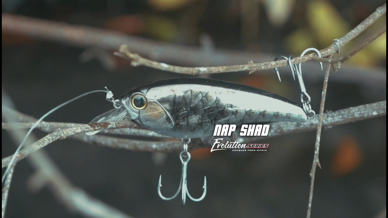 Zerek Nap Shad - Tech Specs and how to use it effectively! 