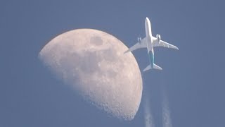 The plane that provided the shot of the year!