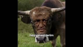 Favoriniz Hangi Terim Benimki Tek Taşa Biteri̇m