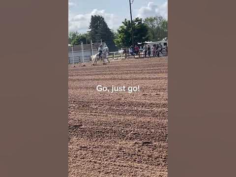 Love horses #horse #western #shorts ||Twixhorses - YouTube