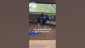 Finding The Holes In Your Horse’s Training! Part 21! | The Horse Guru - Michael Gascon