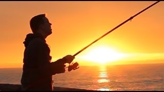 Fishing on the venice beach pier.i traveled to marina del rey
california for a conference and brought my roads with me tried hand
sharks, ...