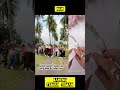nur joget bareng temen-temen. ada yang tahu siapa aja? #nur #funny #lucu #comedy
