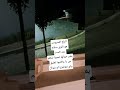 الدلع المدروس عند الست  اكسبلور  مصر