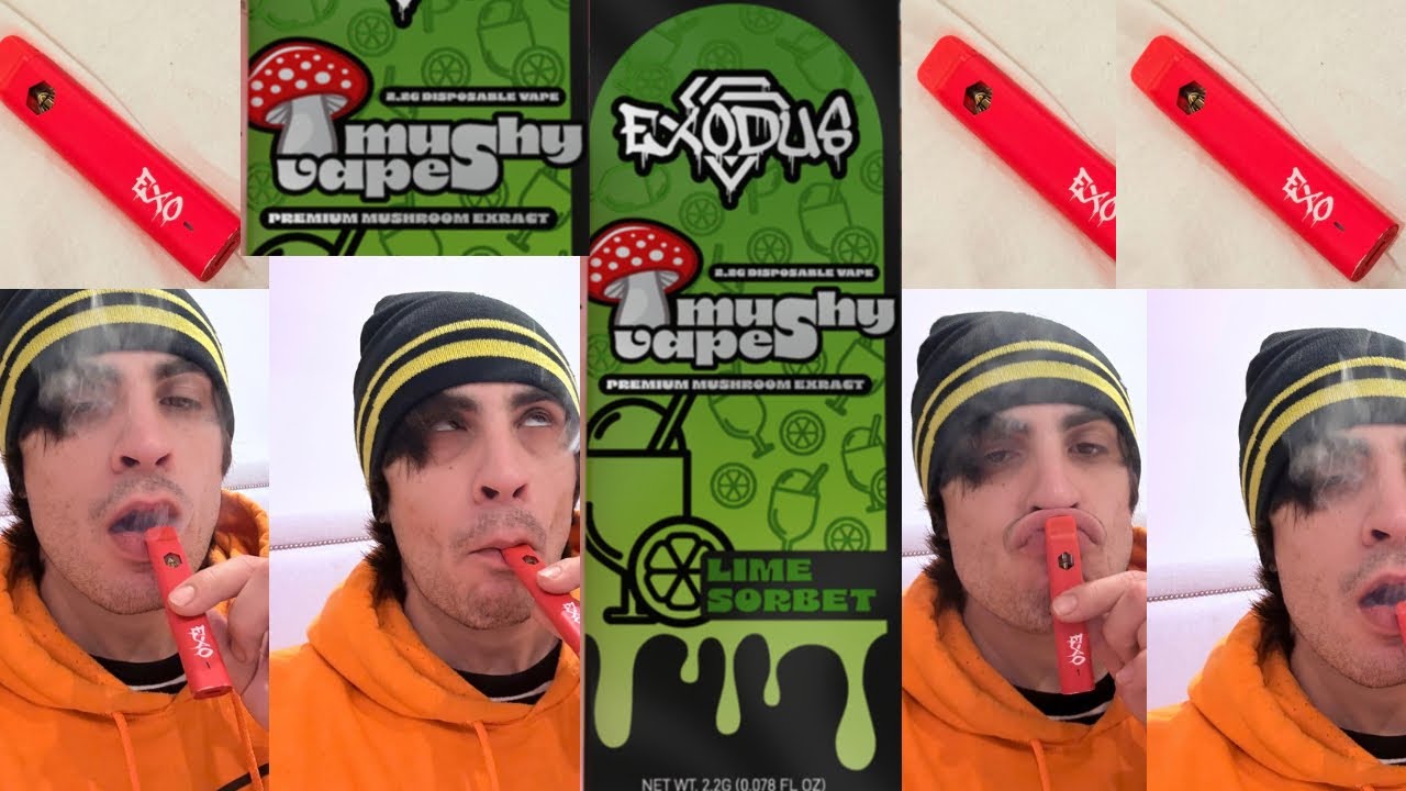 elf bar vape uk ExoBar x Sugar Bar Disposable Vape | 8000 Puffs