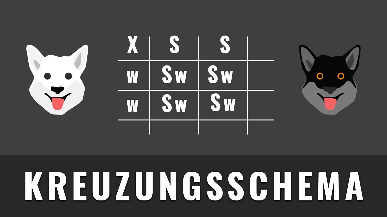 Biologie 7.Kl.  Ernährung: Energie, Grundumsatz+Leistungsumsatz=Gesamtumsatz, Lebensmittel-Pyramide