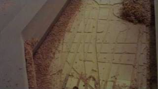 Cutting B1 Spar 6