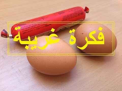 فيديو: كيفية عمل شطائر سمك الصوري والبيض