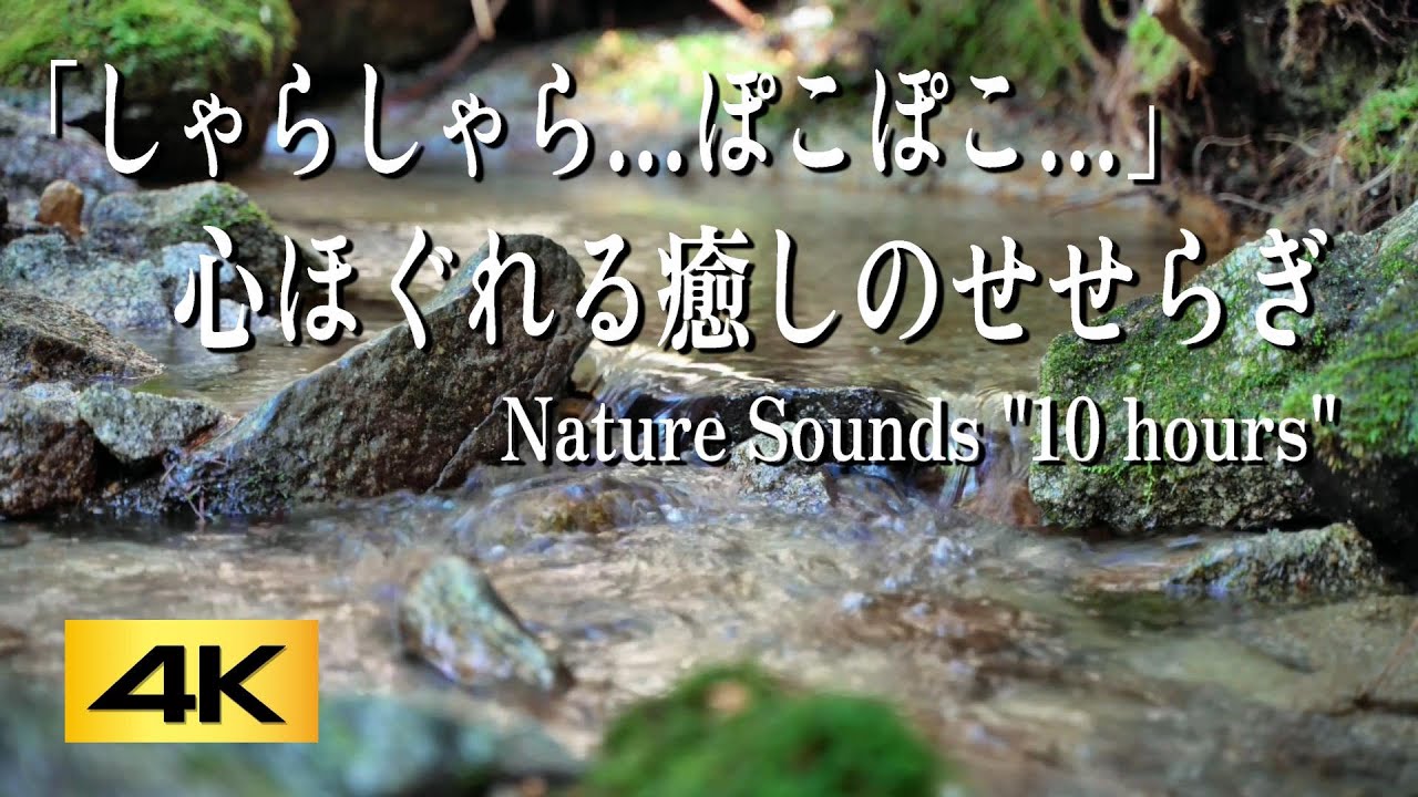 【自然音ASMR】川のせせらぎ・穏やかな流れ|睡眠・集中力アップ・ストレス解消に効果的|リラックス・瞑想BGM|10時間連続再生 - YouTube