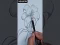 How To Draw Lily Flower Sketch With Pencil Easy Drawing Tutorial تعليم رسم وردة ليلي الزنبق بالرصاص 
