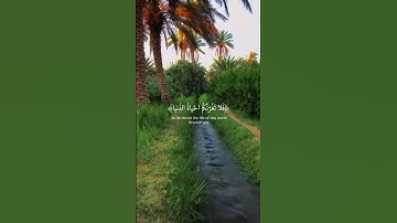 تلاوة مباركة لآية من القرآن الكريم، نسأل الله أنينفعنا وإياكم بها. #القرآن_الكريم #اكسبلور #المصحف
