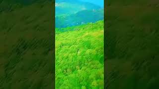 VID 20220103 WA00161